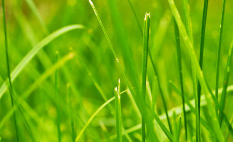 企业可以用的短信测试app